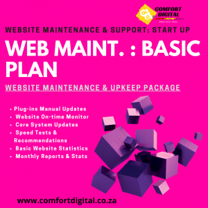 Website Maintenance Package Basic Plan